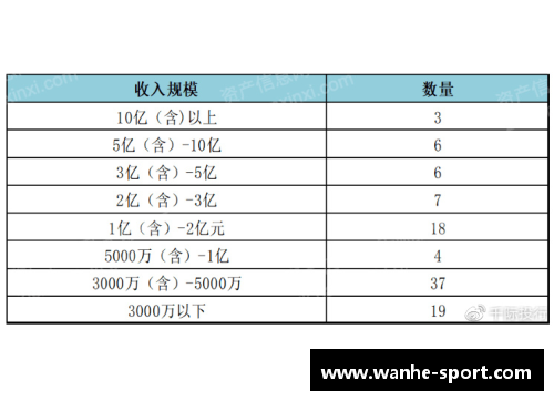 奇才球员合同：深度分析与未来展望